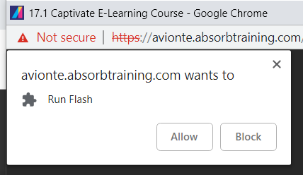 AllowFlash.png