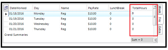 TotalHours field in Day tab