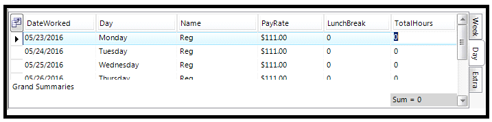 Day tab in Middle Section