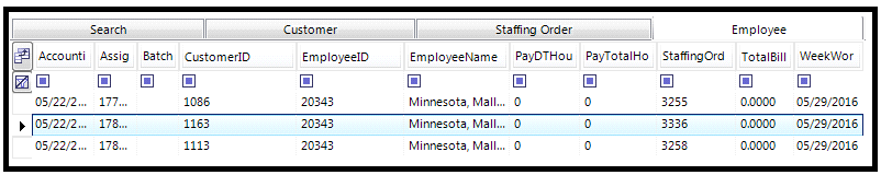 Employee tab in Bottom Section