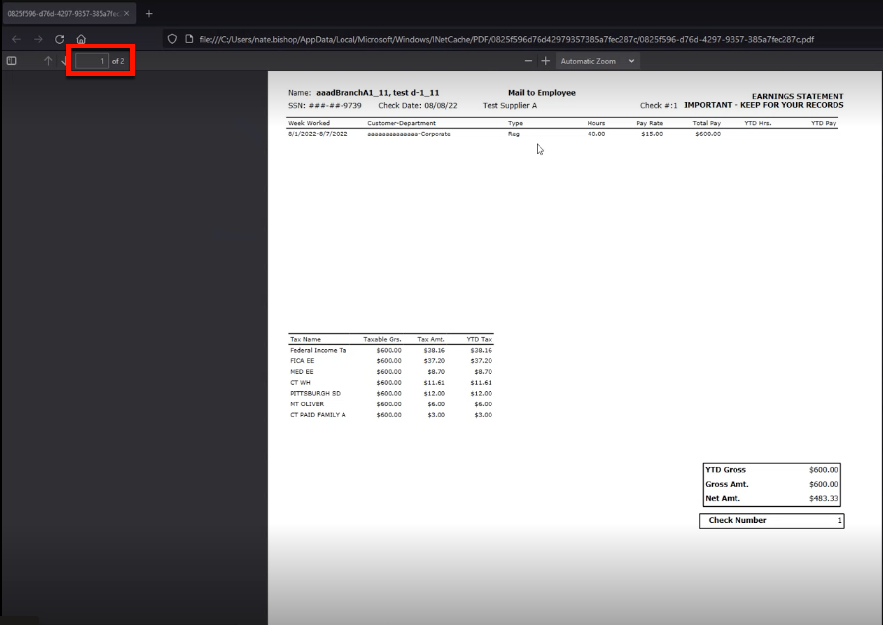 Paycheck_stub_report.png