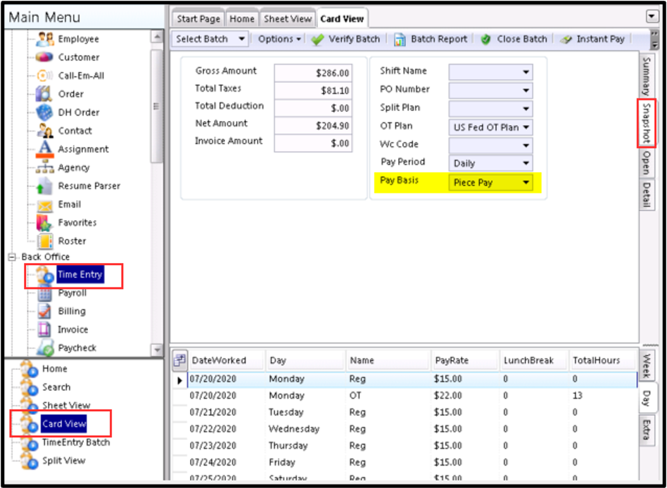 Time_Entry_-_Card_View_-_Snapshot_-_Pay_Basis.png