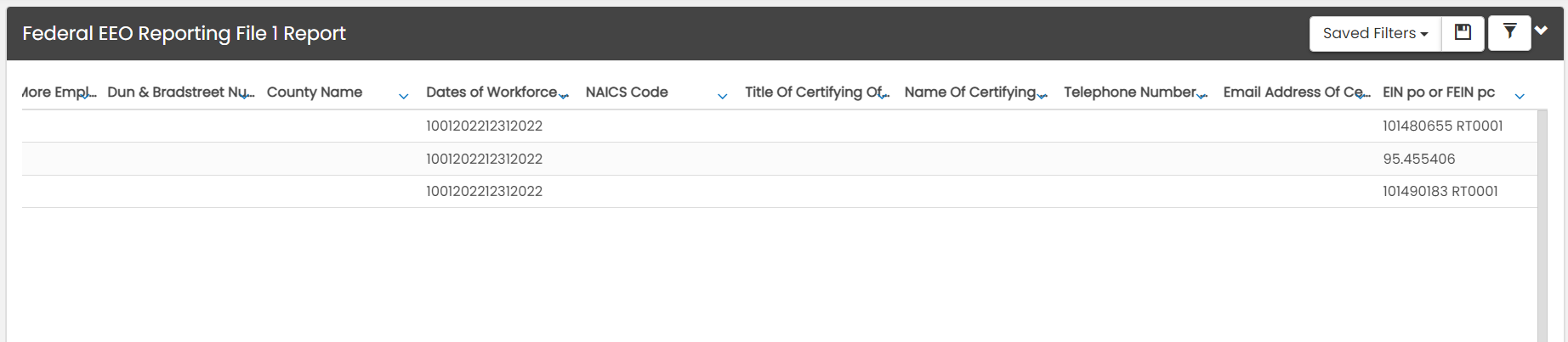 Federal_EEO_Reporting_File_1_Report_screen_2.png
