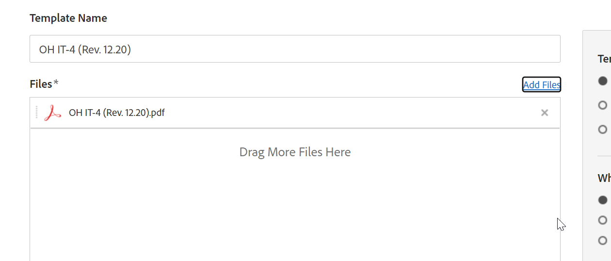 Load_the_file_as_is.png